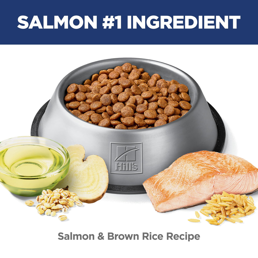 Hill's Science Diet Sensitive Stomach & Skin Dry Dog Food