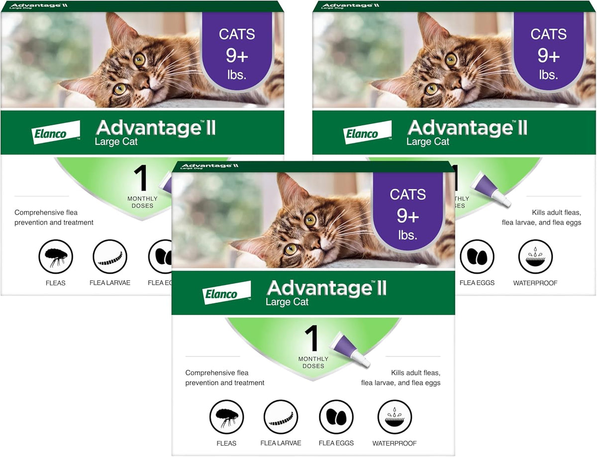 Advantage II Large Cat Vet-Recommended Flea Treatment & Prevention | Cats Over 9 lbs. | 2-Month Supply