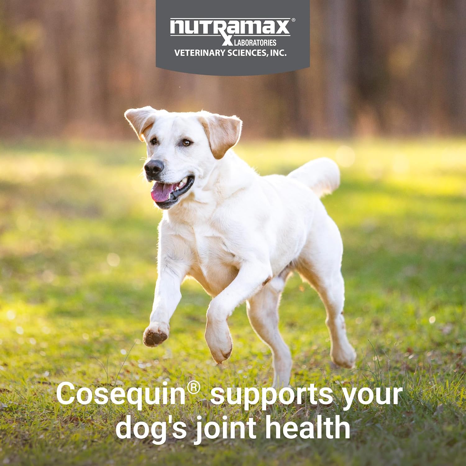 Nutramax Cosequin Joint Supplement for Dogs, Chewable Tablets, 132ct