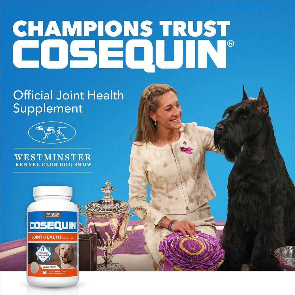 Nutramax Cosequin Joint Supplement for Dogs, Chewable Tablets, 132ct