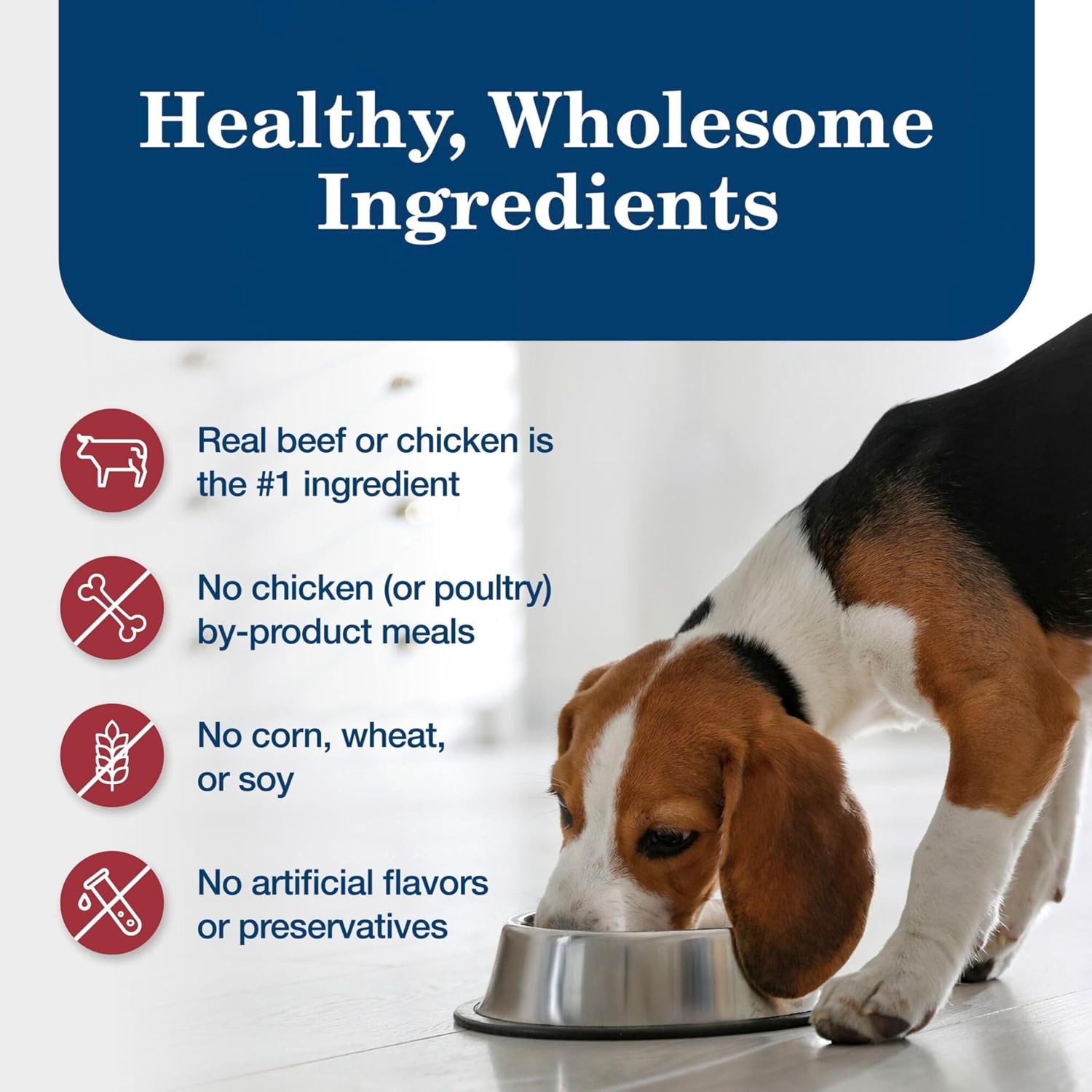 Blue Buffalo Homestyle Recipe Chicken Adult Wet Dog Food, 12.5 oz, 12 ct
