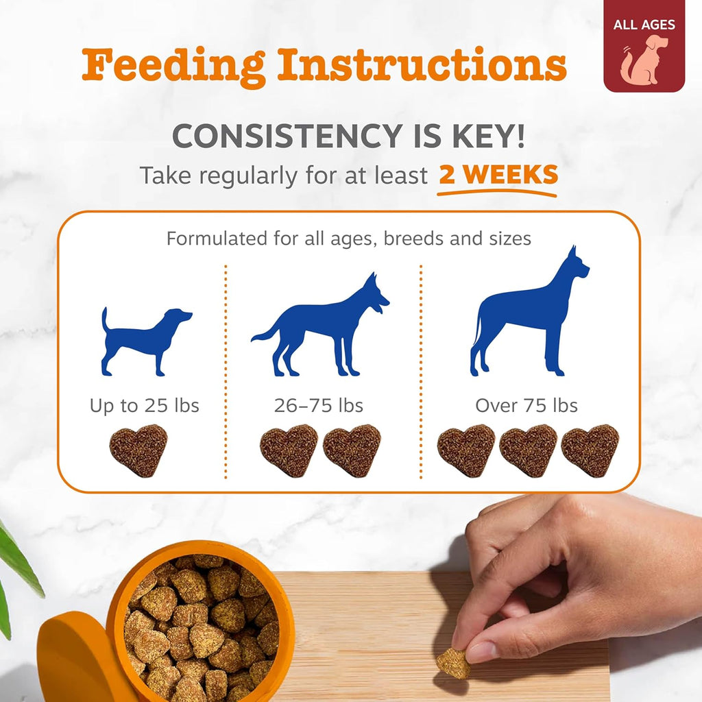 Zesty Paws Dog Vitamins - Dog Multivitamin Chews, Bison, 90 Ct