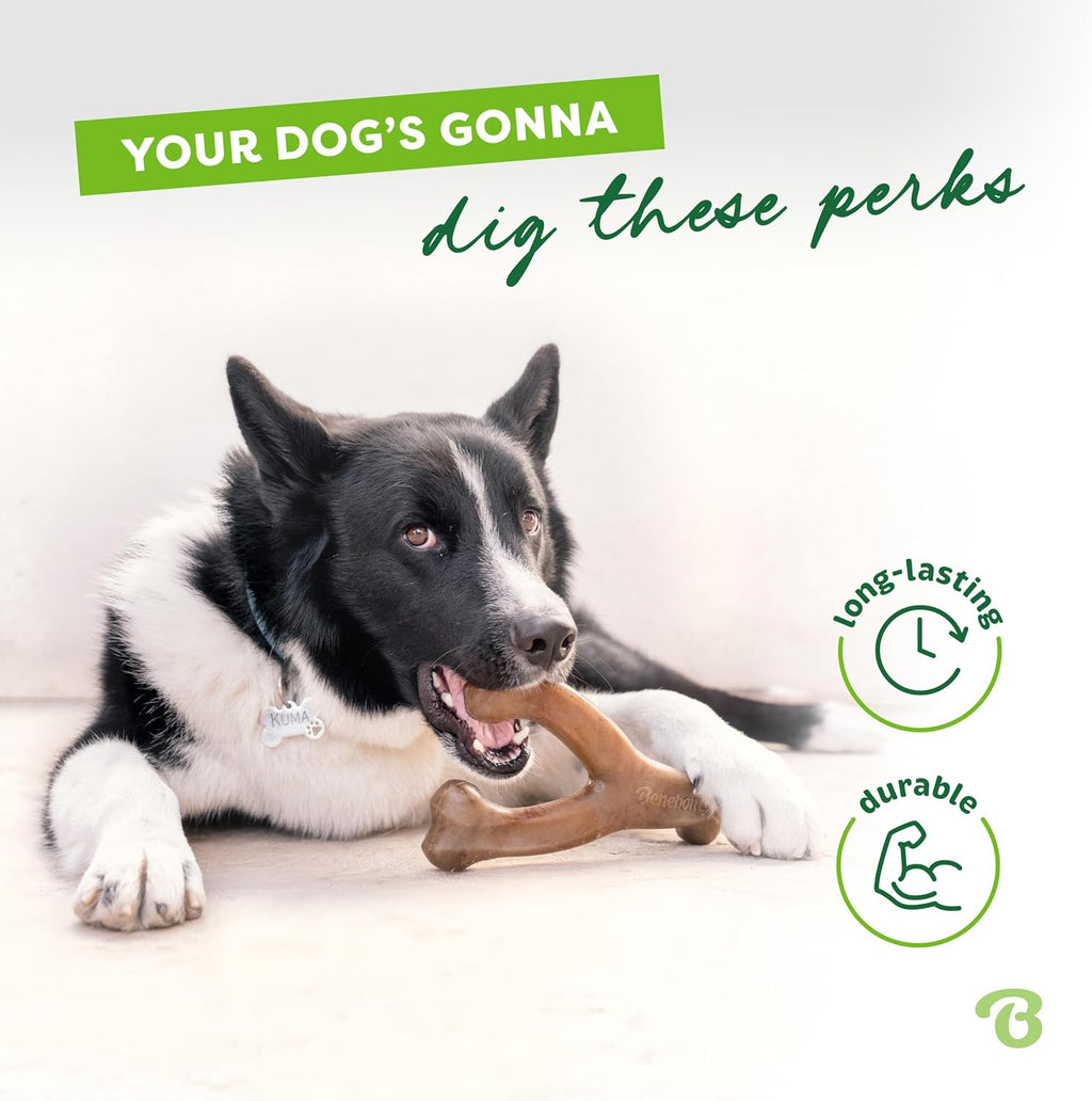 Benebone Wishbone Durable Dog Chew Toy for Aggressive Chewers, Real Bacon, Made in USA, Medium