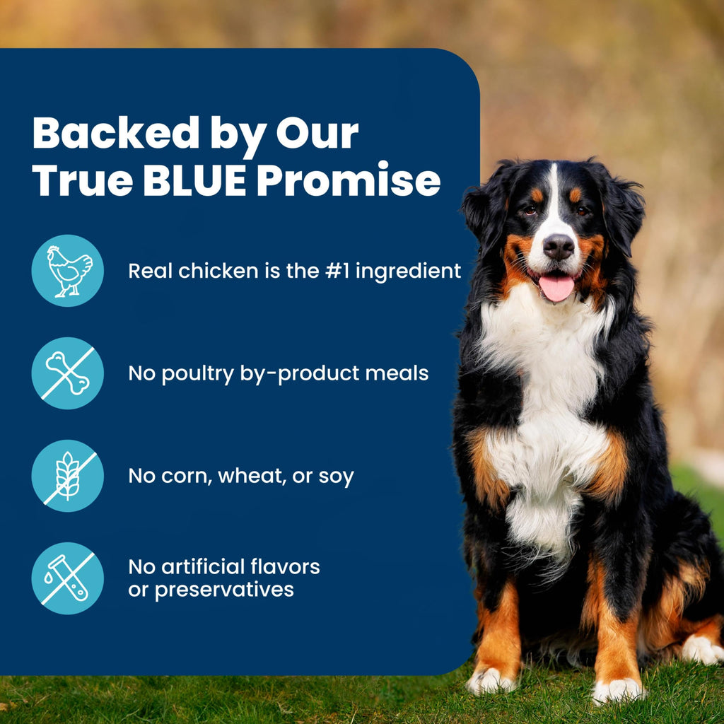 Blue Buffalo Life Protection Formula Chicken Adult Dry Dog Food, 5 lb