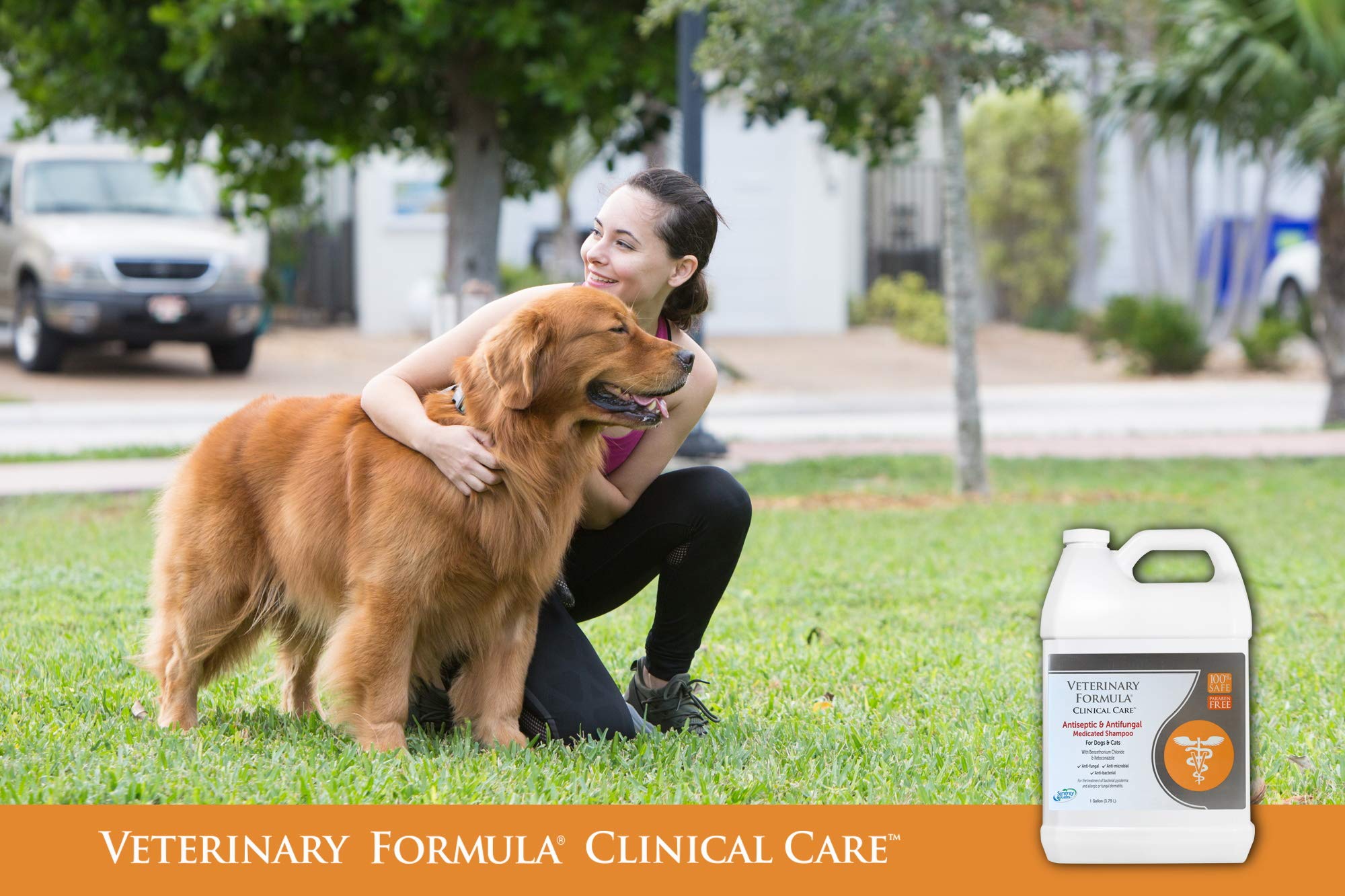 Veterinary Formula Clinical Care Antiseptic & Antifungal Shampoo, 16 oz
