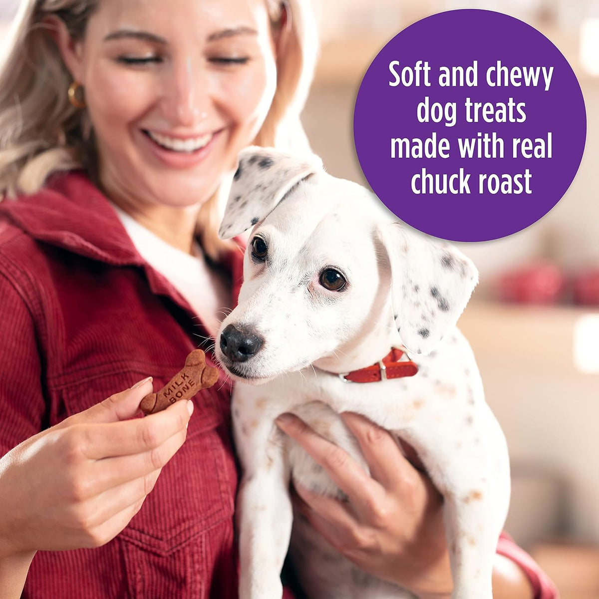 Milk-Bone Soft & Chewy Dog Treats, 25 Oz. Canister