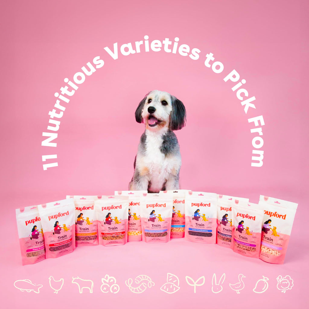 Pupford Freeze Dried Training Treats for Dogs & Puppies (Chicken, 4 oz)