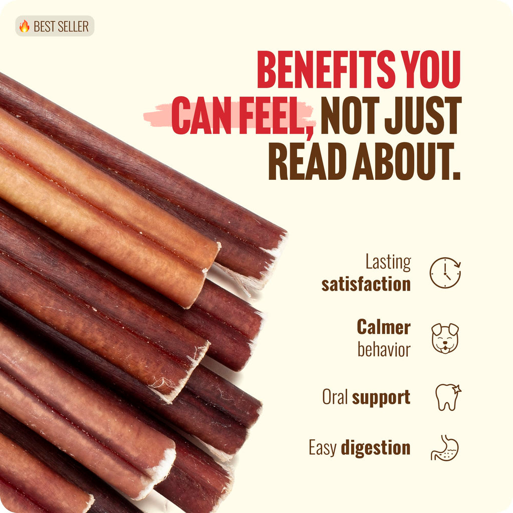 Natural Farm Odor-Free Bully Sticks (6 Inch, 25 count),1.3 lb. Bag, Fully Digestible 100% Beef Pizzle Chews,Grass-Fed, Non-GMO,Grain-Free, Natural Long-Lasting Chews for Small & Large Dogs. Pack of 25