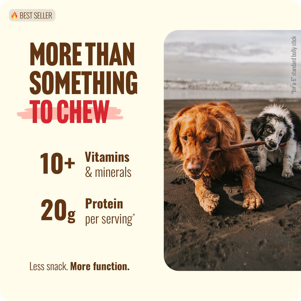 Natural Farm Odor-Free Bully Sticks (6 Inch, 25 count),1.3 lb. Bag, Fully Digestible 100% Beef Pizzle Chews,Grass-Fed, Non-GMO,Grain-Free, Natural Long-Lasting Chews for Small & Large Dogs. Pack of 25