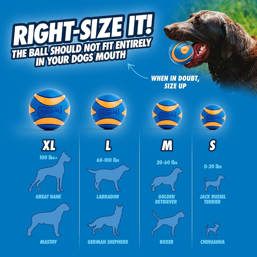 Chuckit! Ultra Ball Dog Toy, Durable Rubber, Medium 2.5-in, 2 Pack