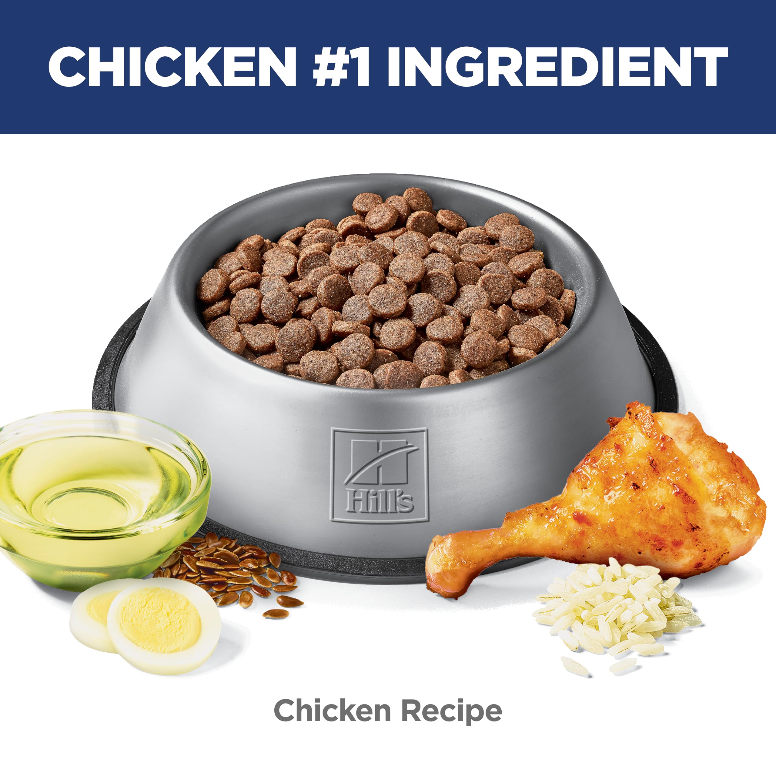 Hill's Science Diet Sensitive Stomach & Skin Dry Dog Food