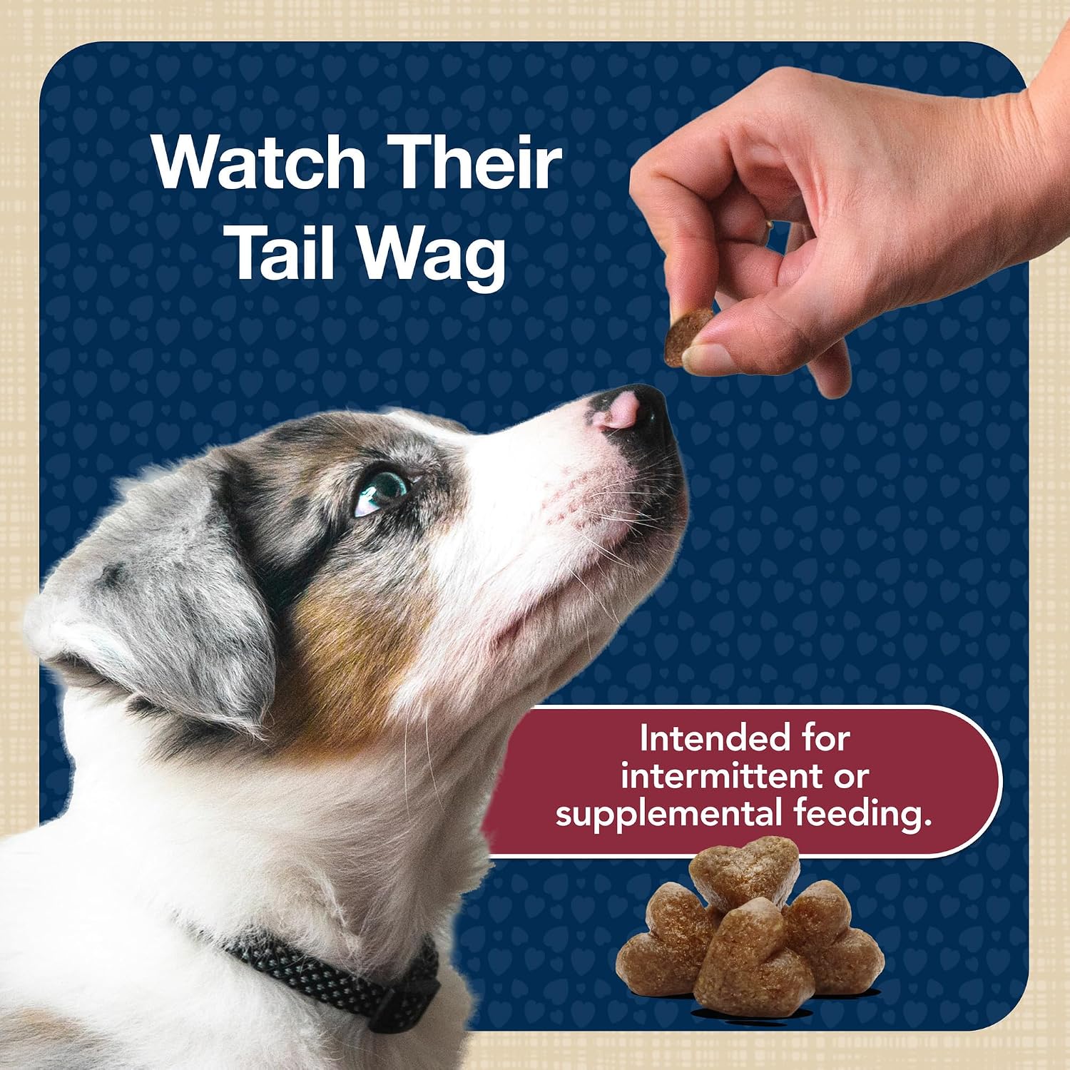 Blue Buffalo Bits Chicken Training Treats, 19 oz