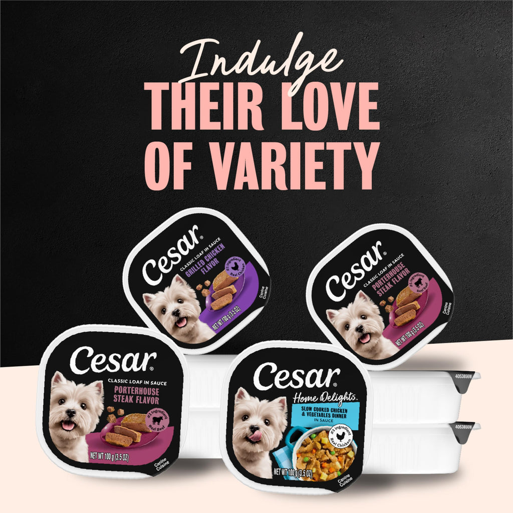 Cesar Classic Loaf in Sauce Wet Dog Food, Meaty Selects, 3.5 oz, 24 Count