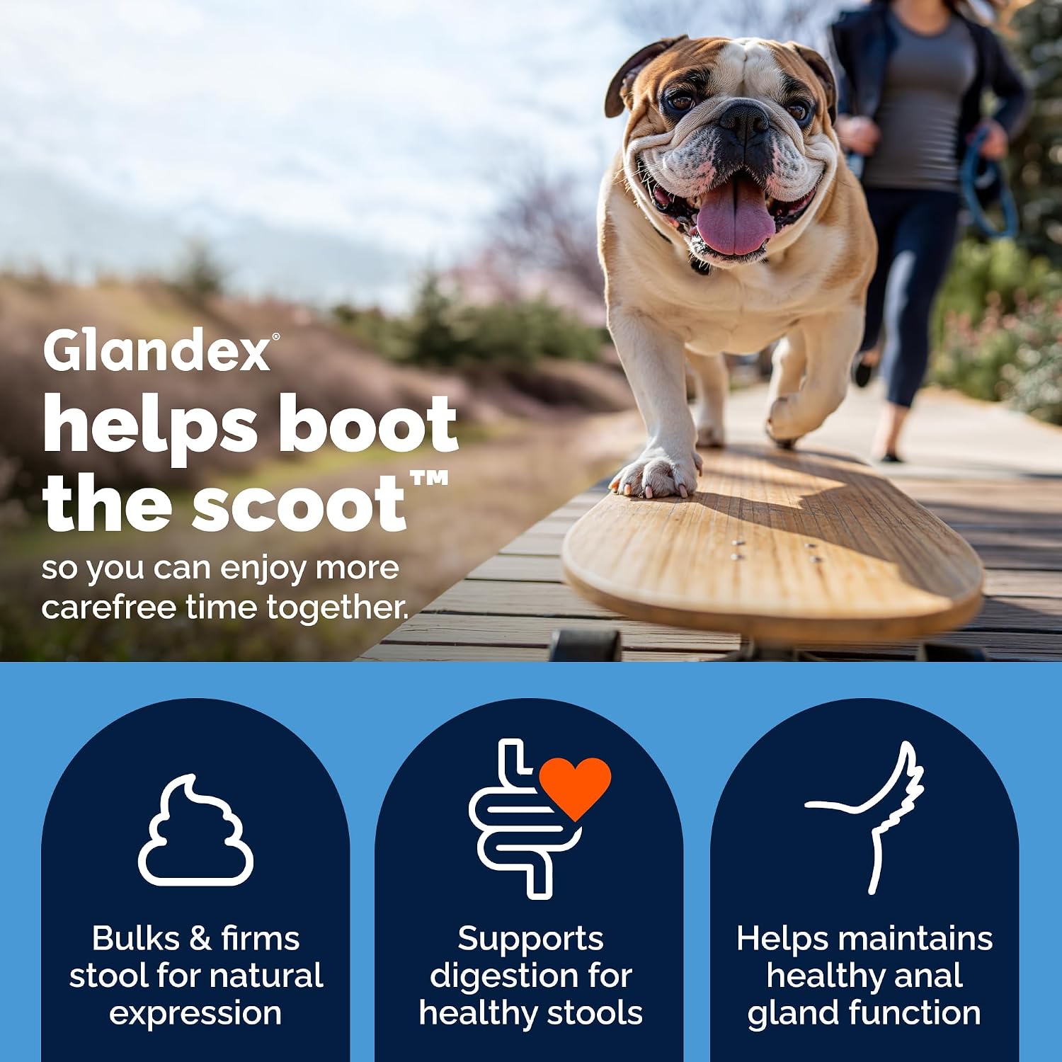 Vetnique Glandex for Dogs Anal Gland Chews 120ct Pumpkin, Digestive Enzymes