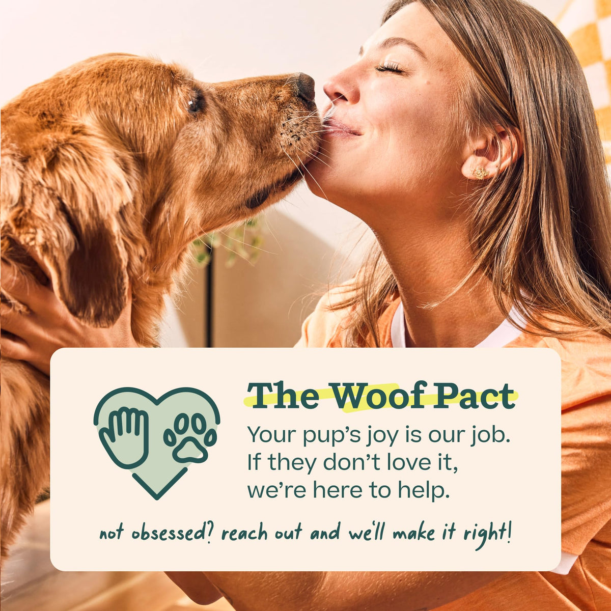 WOOF Pupsicle Peanut Butter & Beef Refill Pops Dog Treats, Large, 7 Count