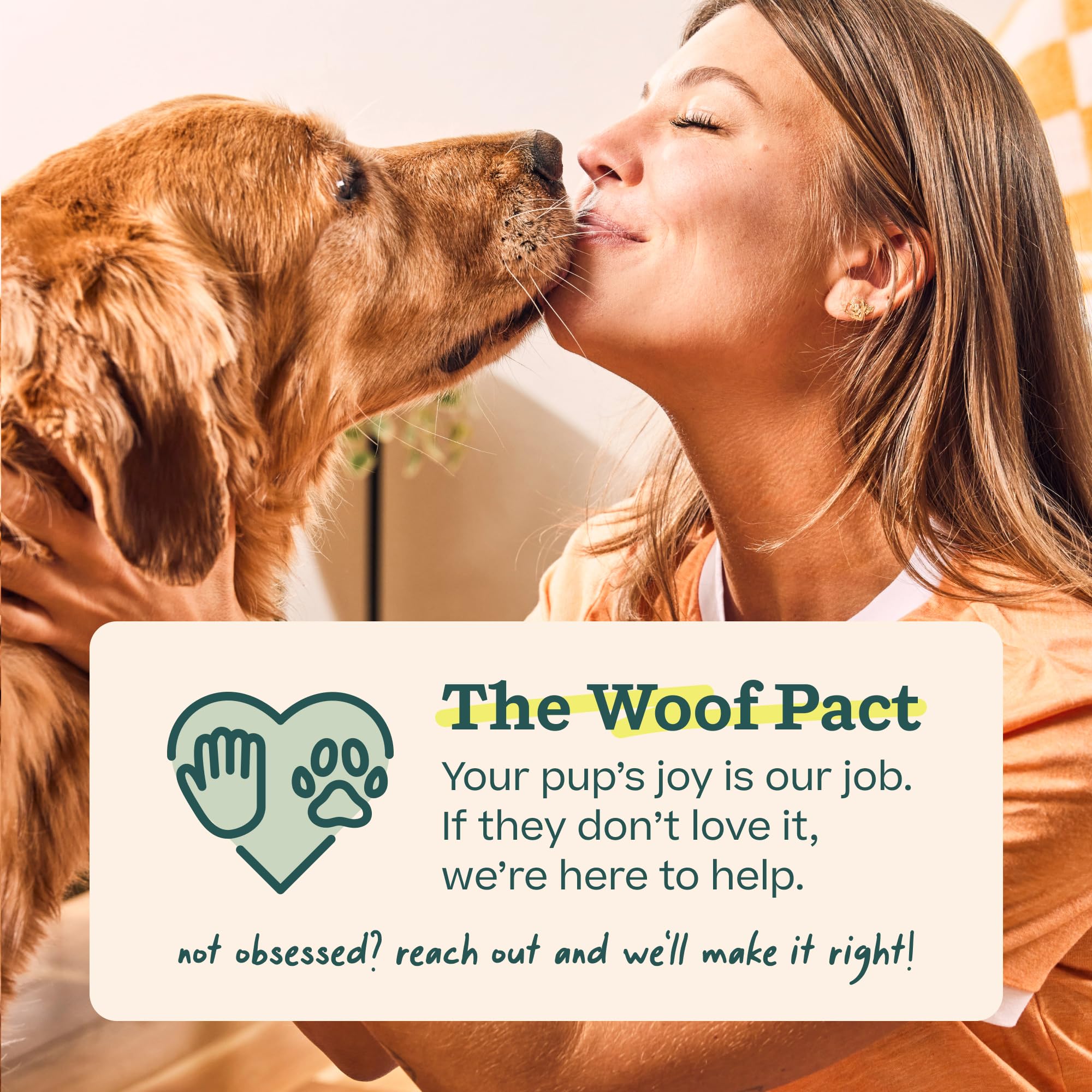 WOOF Pupsicle Peanut Butter & Beef Refill Pops Dog Treats, Large, 7 Count