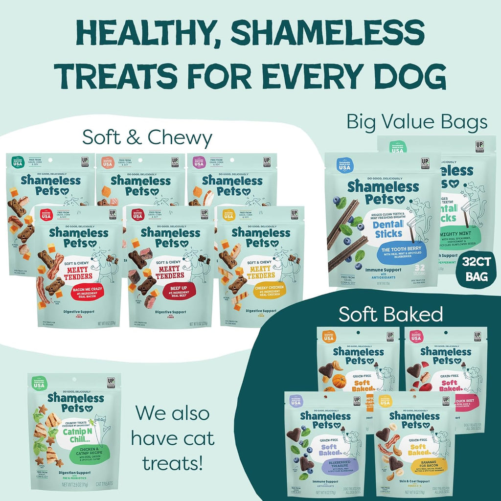 Shameless Pets Blueberry & Mint Dental Chews for Dogs, 8 Chews