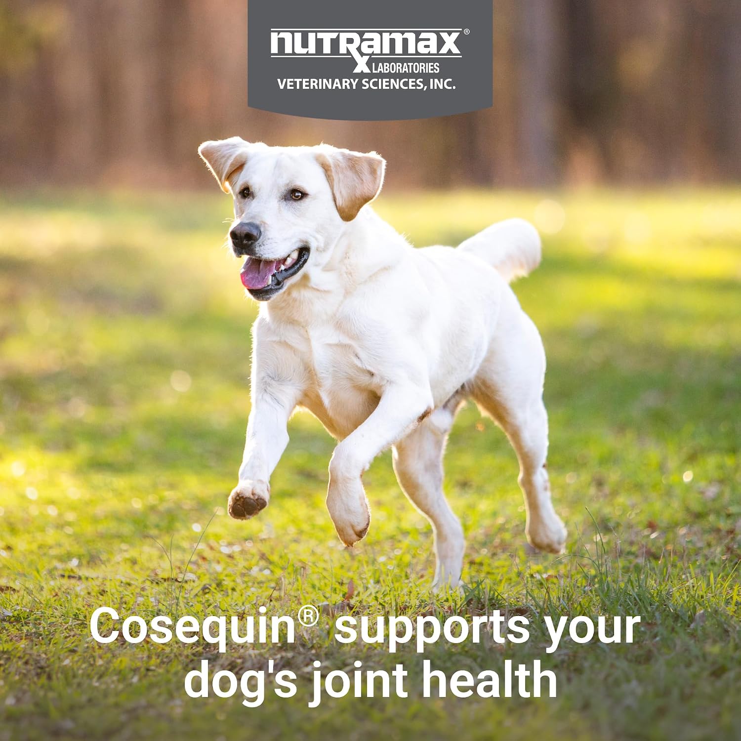 Nutramax Cosequin Joint Supplement for Dogs, Chewable Tablets, 132ct
