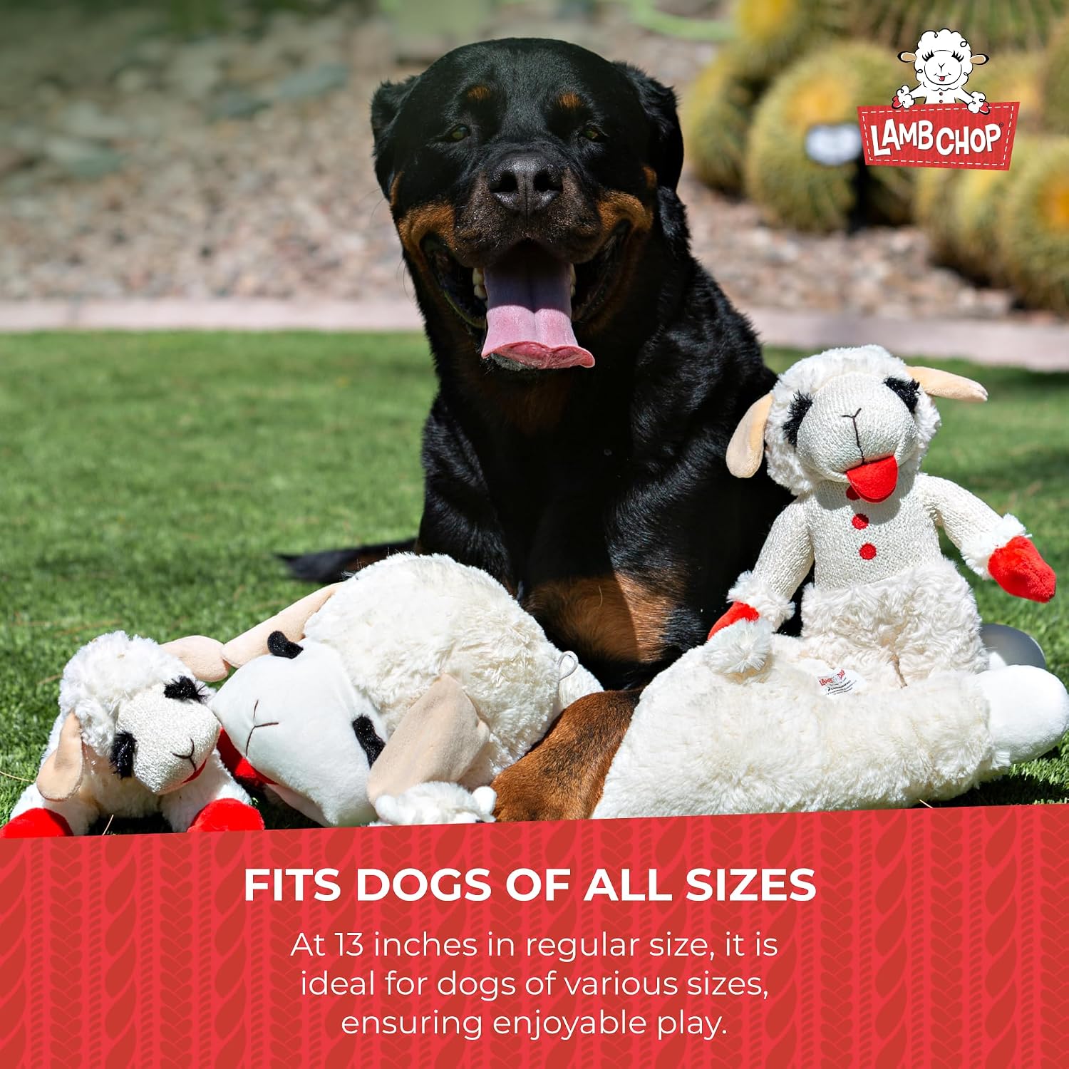 Multipet Lamb Chop Dog Plush Toy - Squeaky Toy for All Dogs - Extra Soft Plush - Stuffed Animal Dog Toy for Cuddling & Playing - Cute Pet Toy (6", Cream)