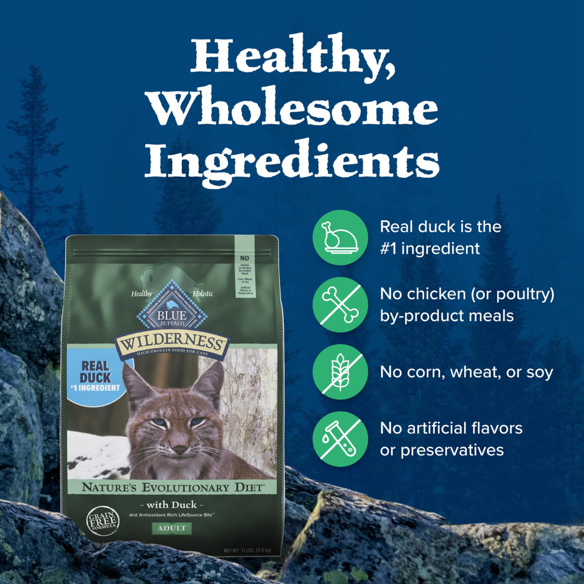 Blue Buffalo Wilderness Chicken Adult Dry Cat Food, Grain-Free, 12 lb