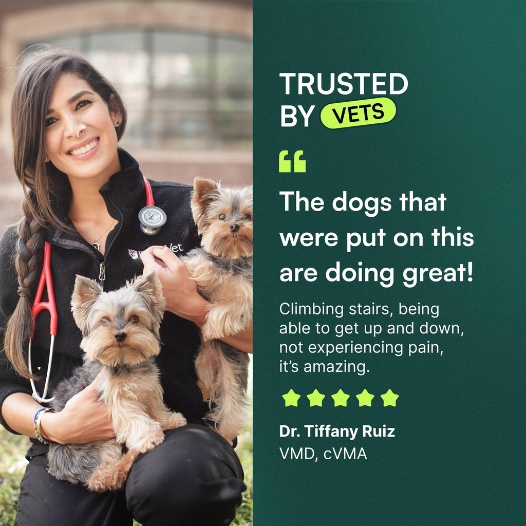 Wuffes Advanced Hip & Joint Chews for Small & Medium Dogs, Vet Recommended