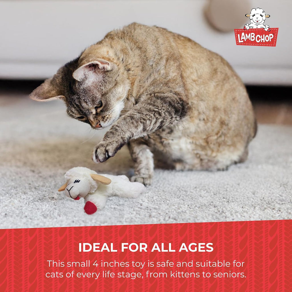 Multipet Lamb Chop Dog Plush Toy - Squeaky Toy for All Dogs - Extra Soft Plush - Stuffed Animal Dog Toy for Cuddling & Playing - Cute Pet Toy (6", Cream)
