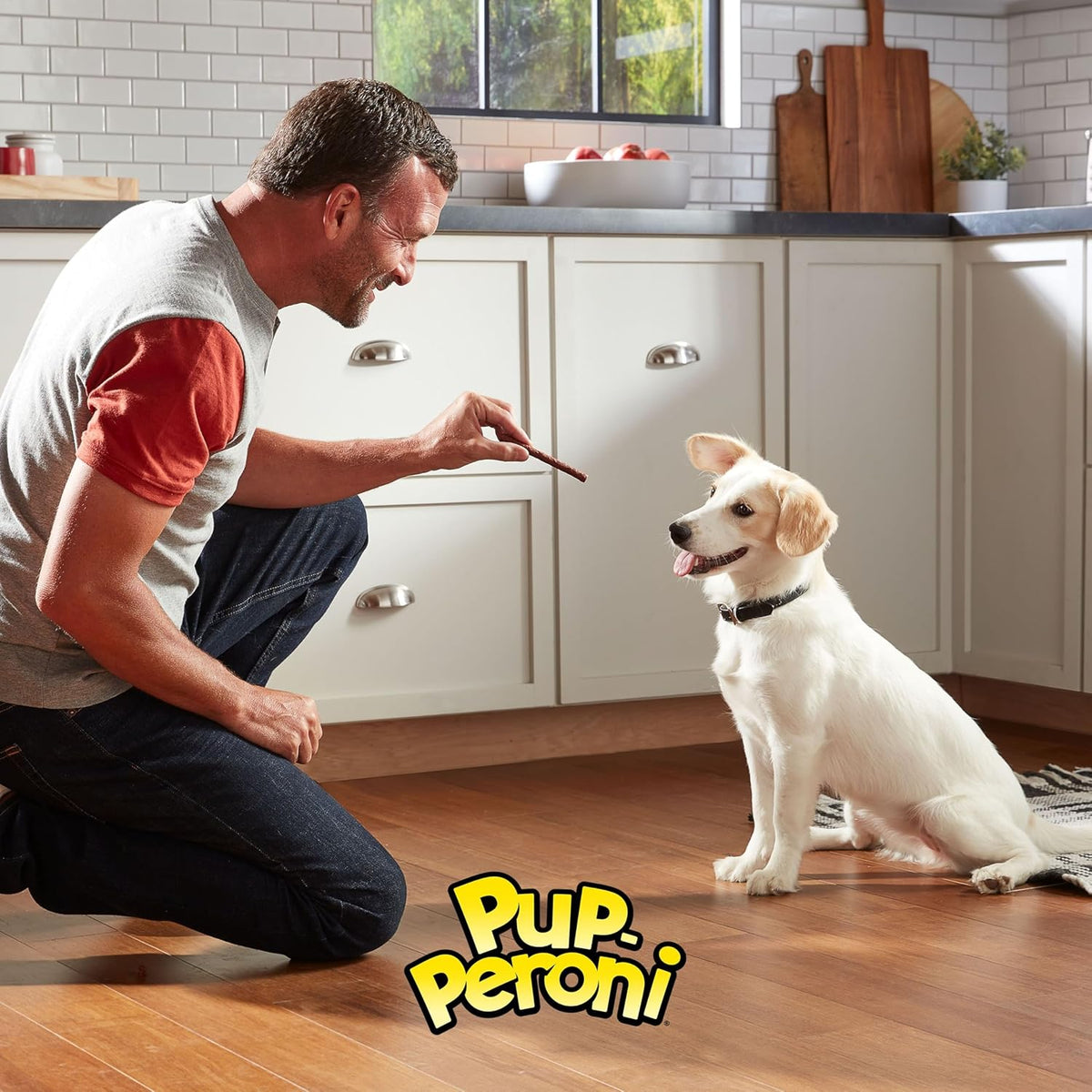 Pup-Peroni Original Beef Recipe Dog Treats, 38 Oz. Bag