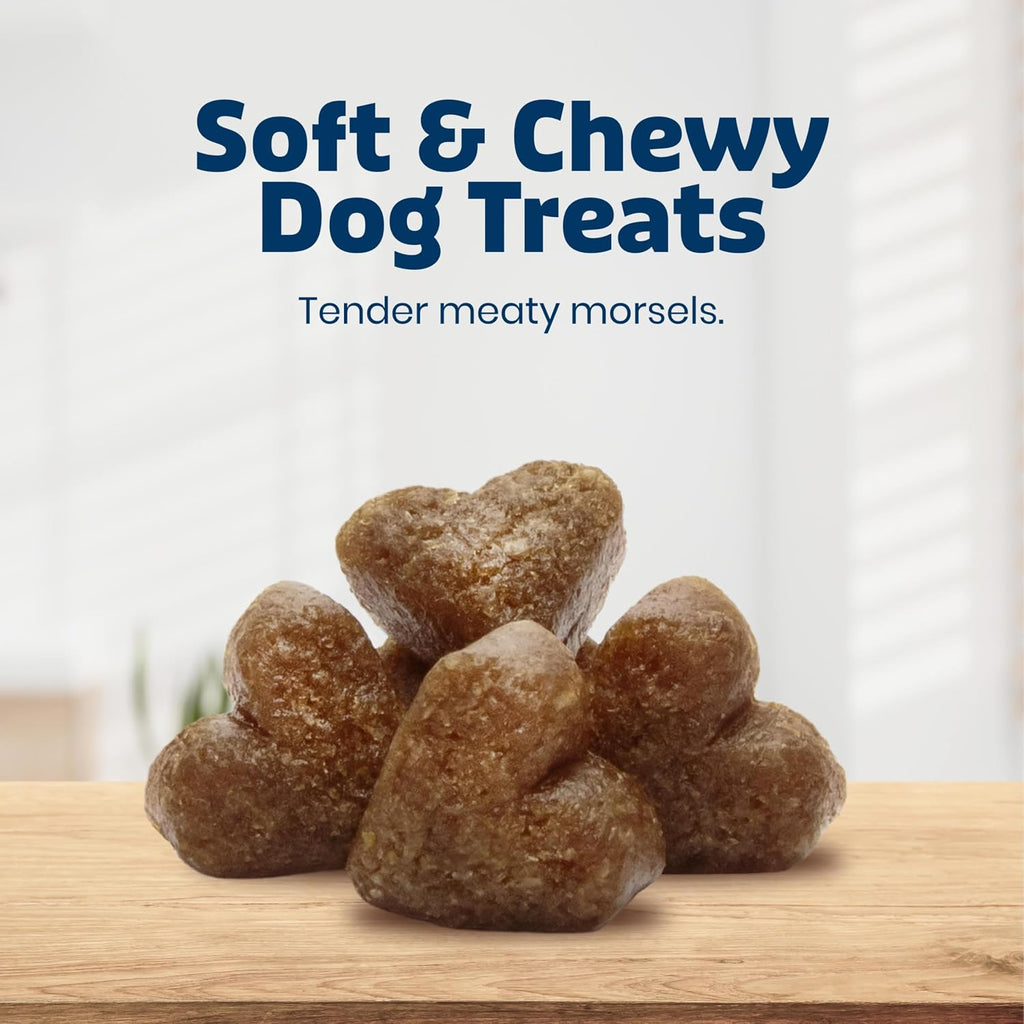 Blue Buffalo Bits Chicken Training Treats, 19 oz