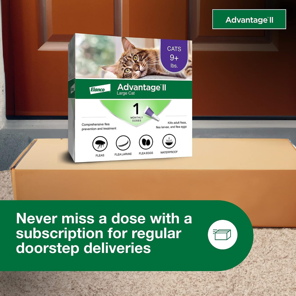 Advantage II Large Cat Vet-Recommended Flea Treatment & Prevention | Cats Over 9 lbs. | 2-Month Supply