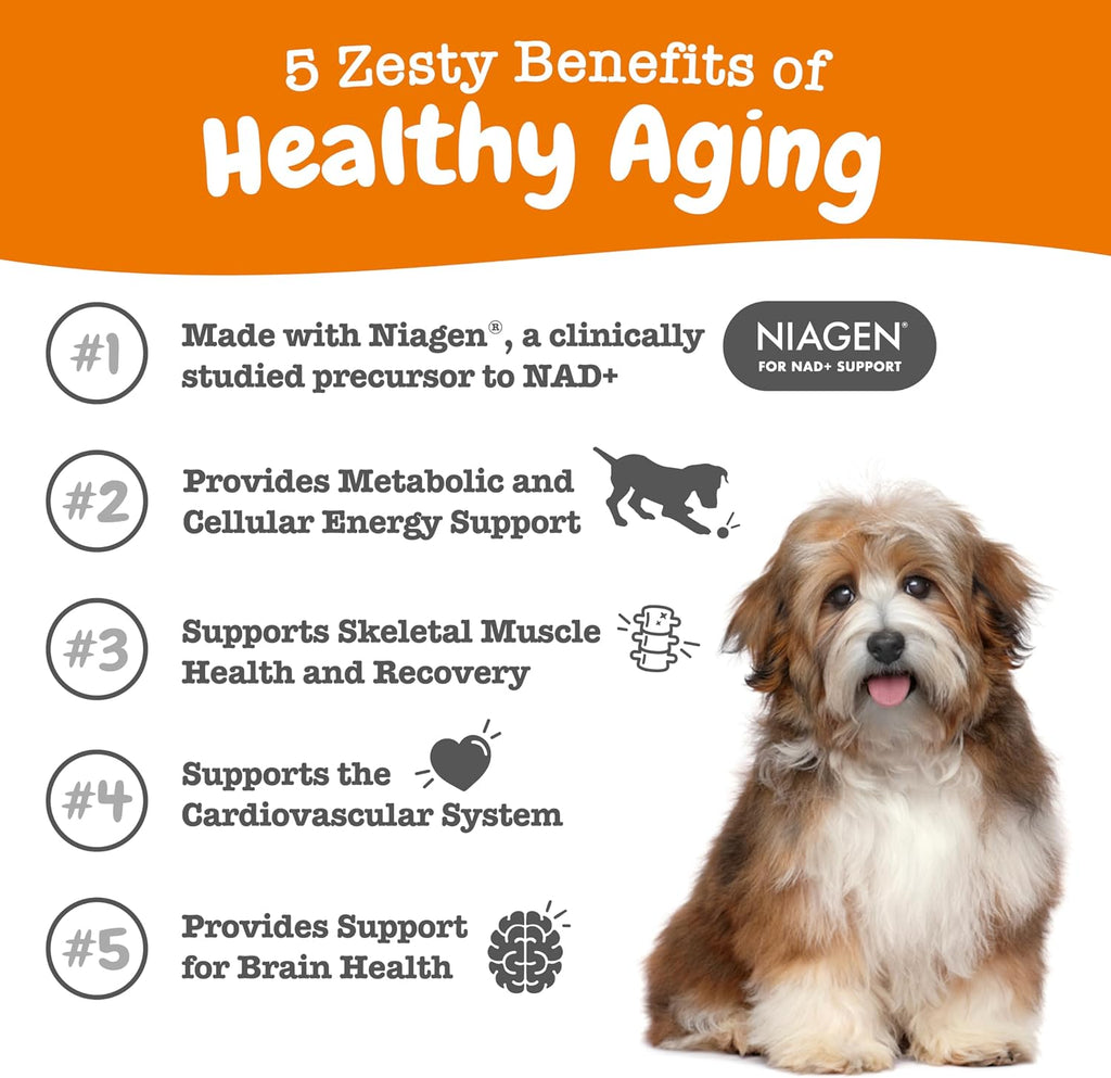 Zesty Paws Dog Vitamins - Dog Multivitamin Chews, Bison, 90 Ct
