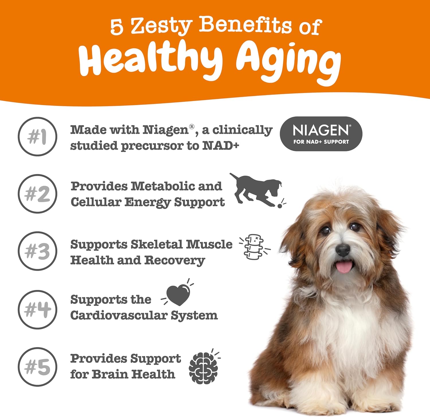 Zesty Paws Dog Vitamins - Dog Multivitamin Chews, Bison, 90 Ct