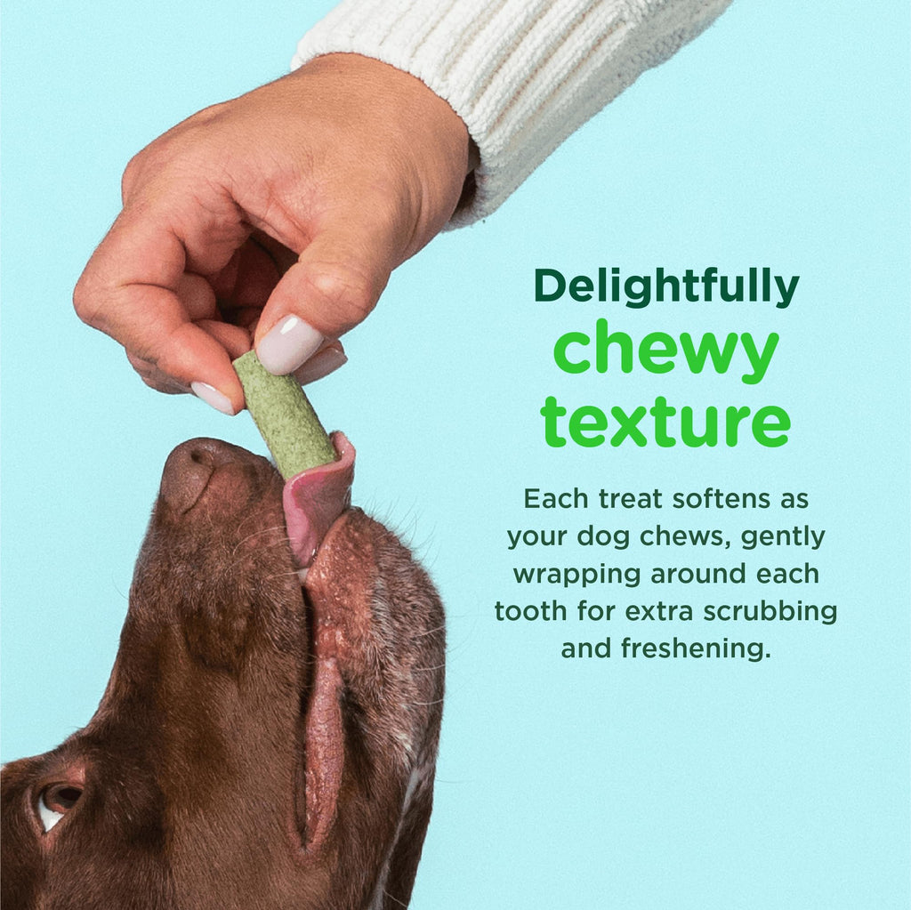 Minties Dental Chews for Dogs, 36 Count, Vet-Recommended Mint-Flavored Dog Treats for Large Breeds Over 50 lbs, Dental Bones Clean Teeth, Fight Bad Breath, Removes Plaque and Tartar