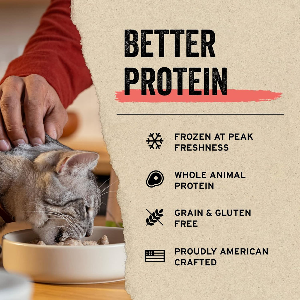 Vital Essentials Freeze Dried Minnows Cat Treats, 1.0 oz Bag
