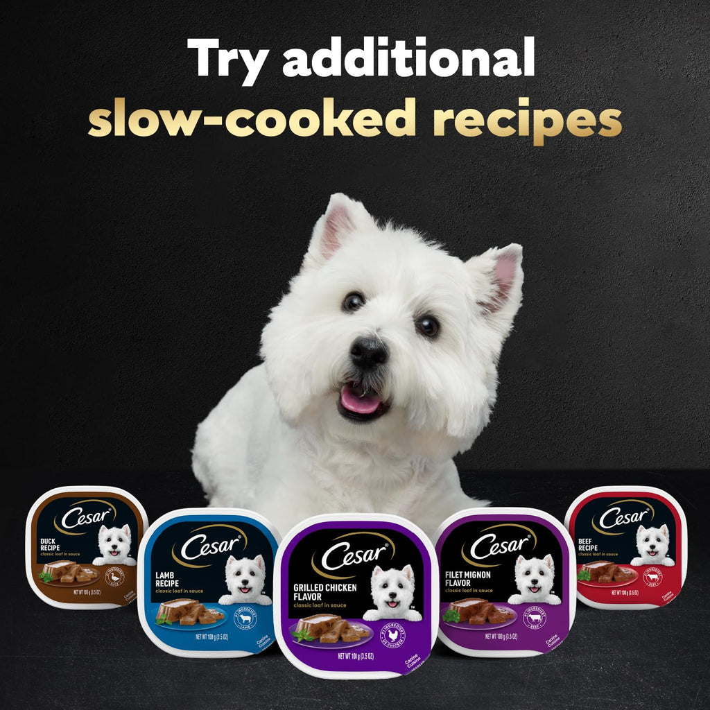 Cesar Classic Loaf in Sauce Wet Dog Food, Meaty Selects, 3.5 oz, 24 Count