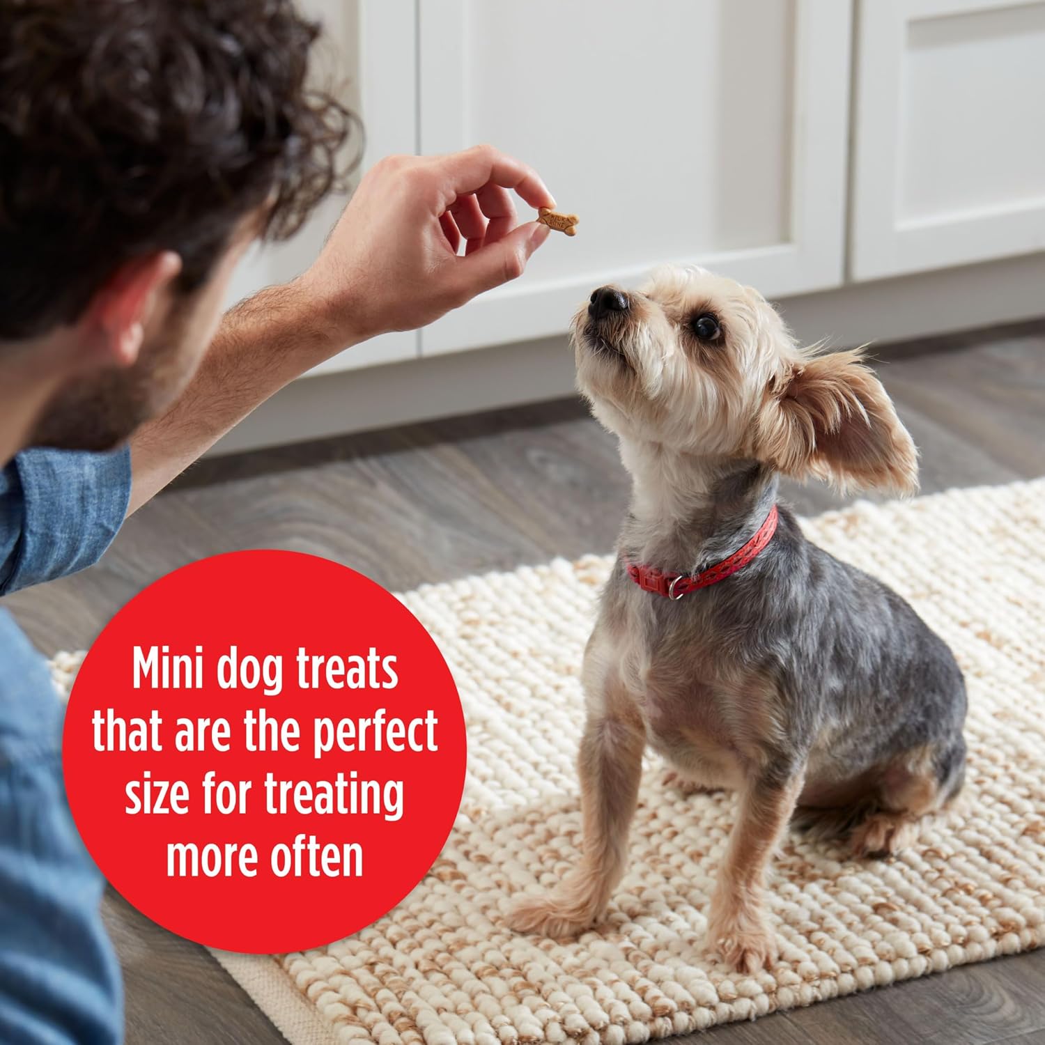 Milk-Bone Soft & Chewy Dog Treats, 25 Oz. Canister