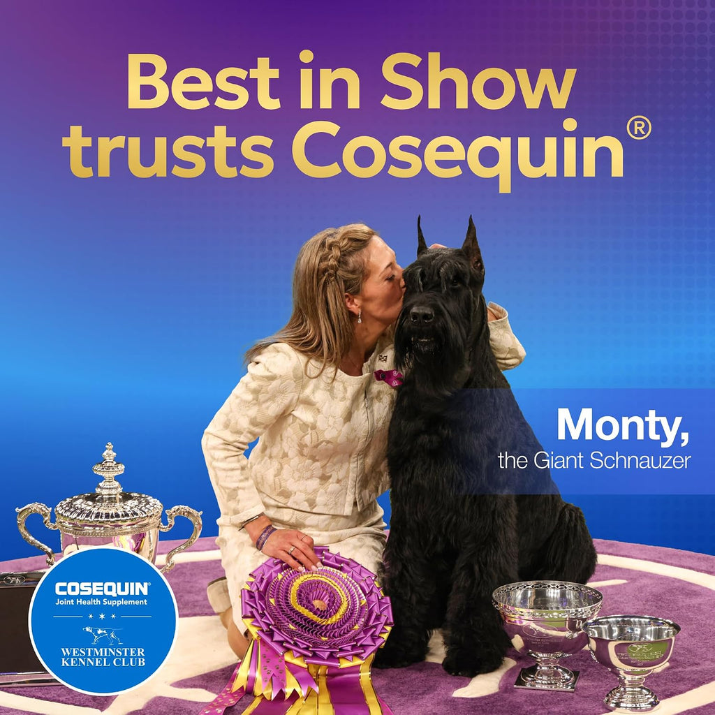 Nutramax Cosequin Joint Supplement for Dogs, Chewable Tablets, 132ct