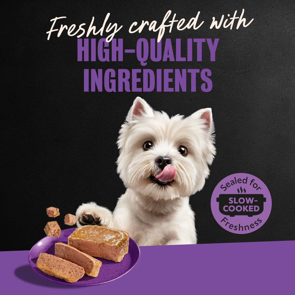 Cesar Classic Loaf in Sauce Wet Dog Food, Meaty Selects, 3.5 oz, 24 Count