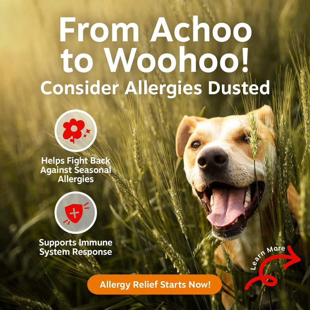 Zesty Paws Dog Allergy Chews - Dog Allergy Relief, Lamb, 90 Ct