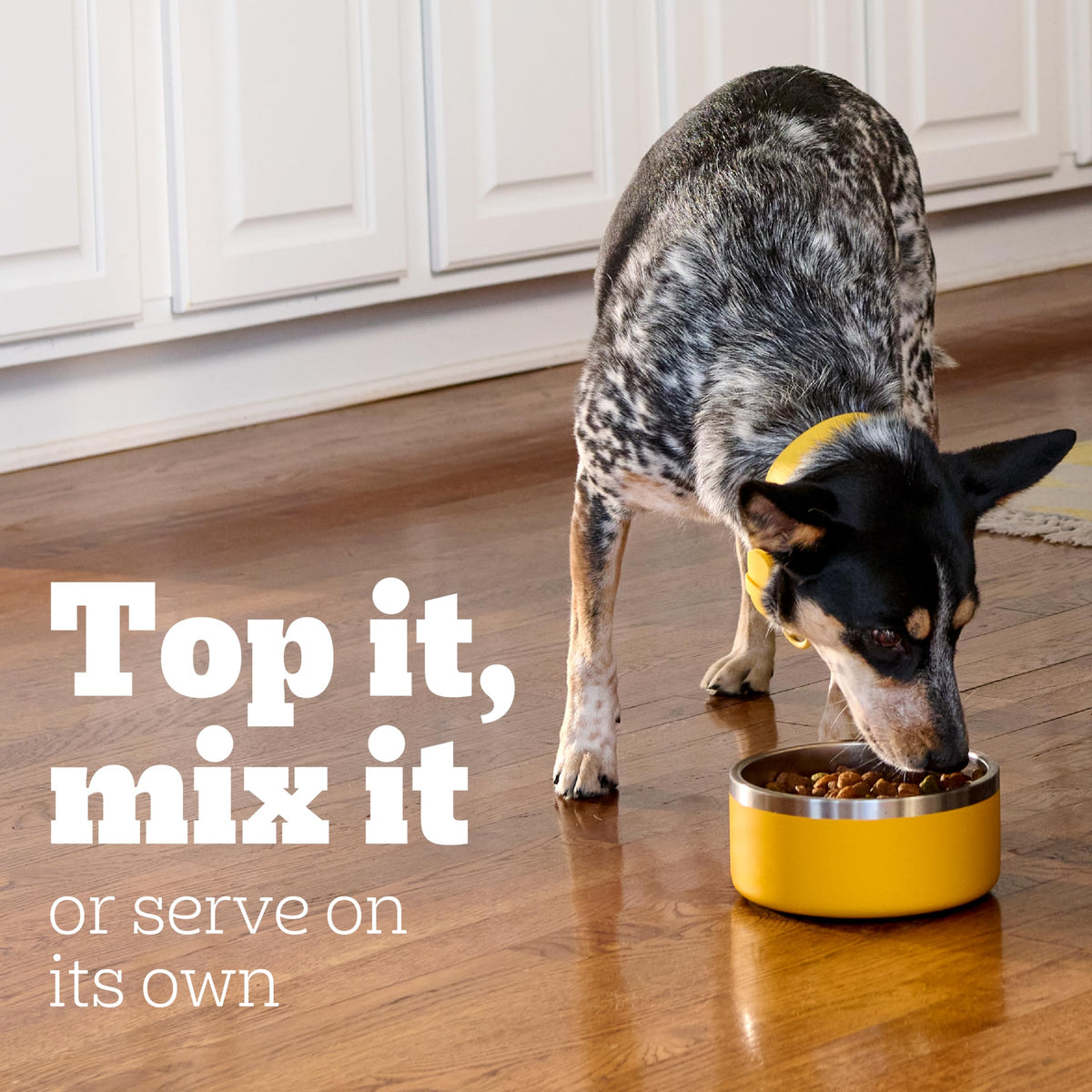 Pedigree Choice Cuts Wet Dog Food Pouch, Protein Variety, 3.5 oz, 30 Count
