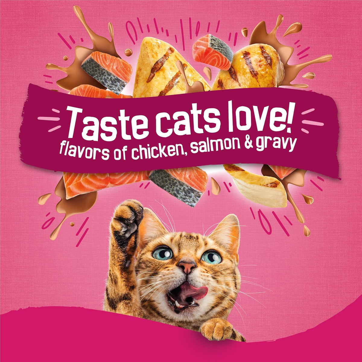 Purina Friskies Gravy Swirlers With Flavors of Chicken, Salmon and Gravy Dry Cat Food - 3.15 lb. Bag
