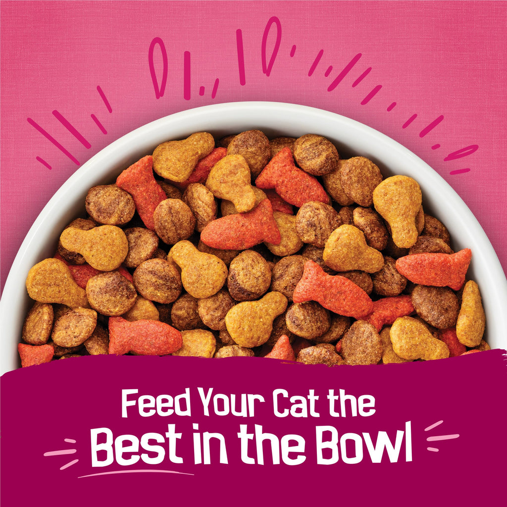 Purina Friskies Gravy Swirlers With Flavors of Chicken, Salmon and Gravy Dry Cat Food - 3.15 lb. Bag