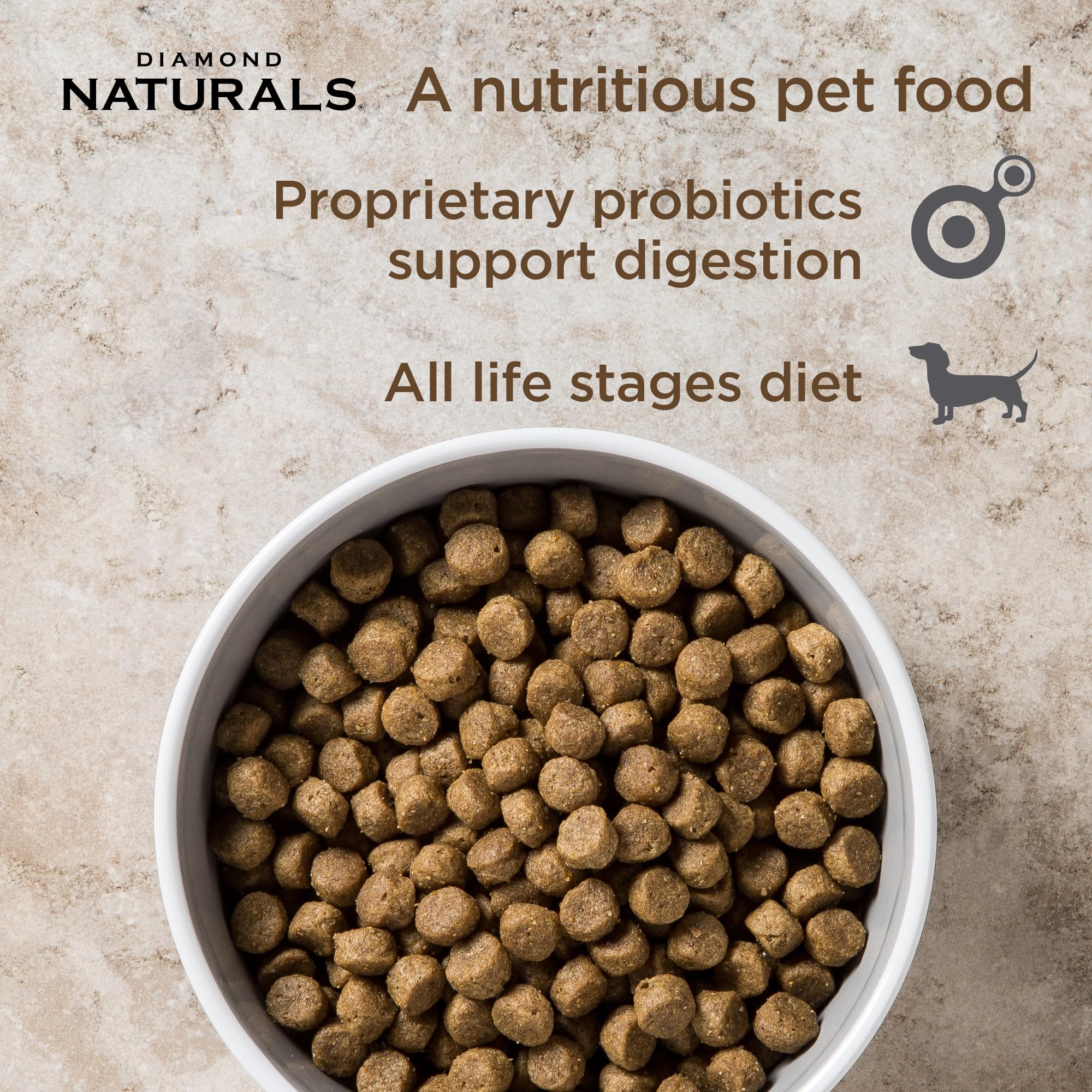 DIAMOND NATURALS Adult Dry Dog Food, Lamb Meal & Rice, 6lb
