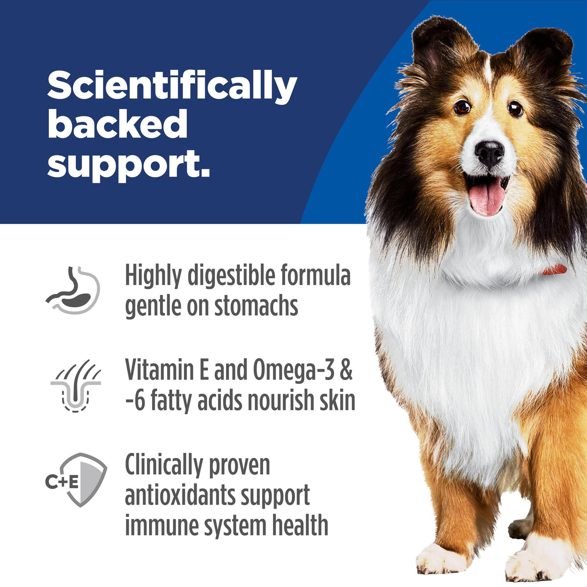 Hill's Science Diet Sensitive Stomach & Skin Dry Dog Food