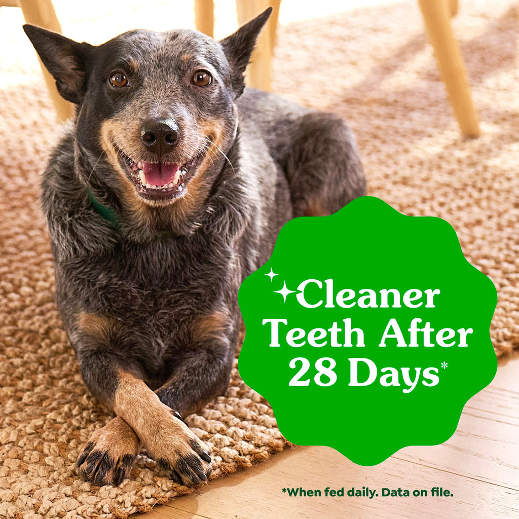Greenies Large Natural Dental Dog Treats, Original Flavor, 17 Count