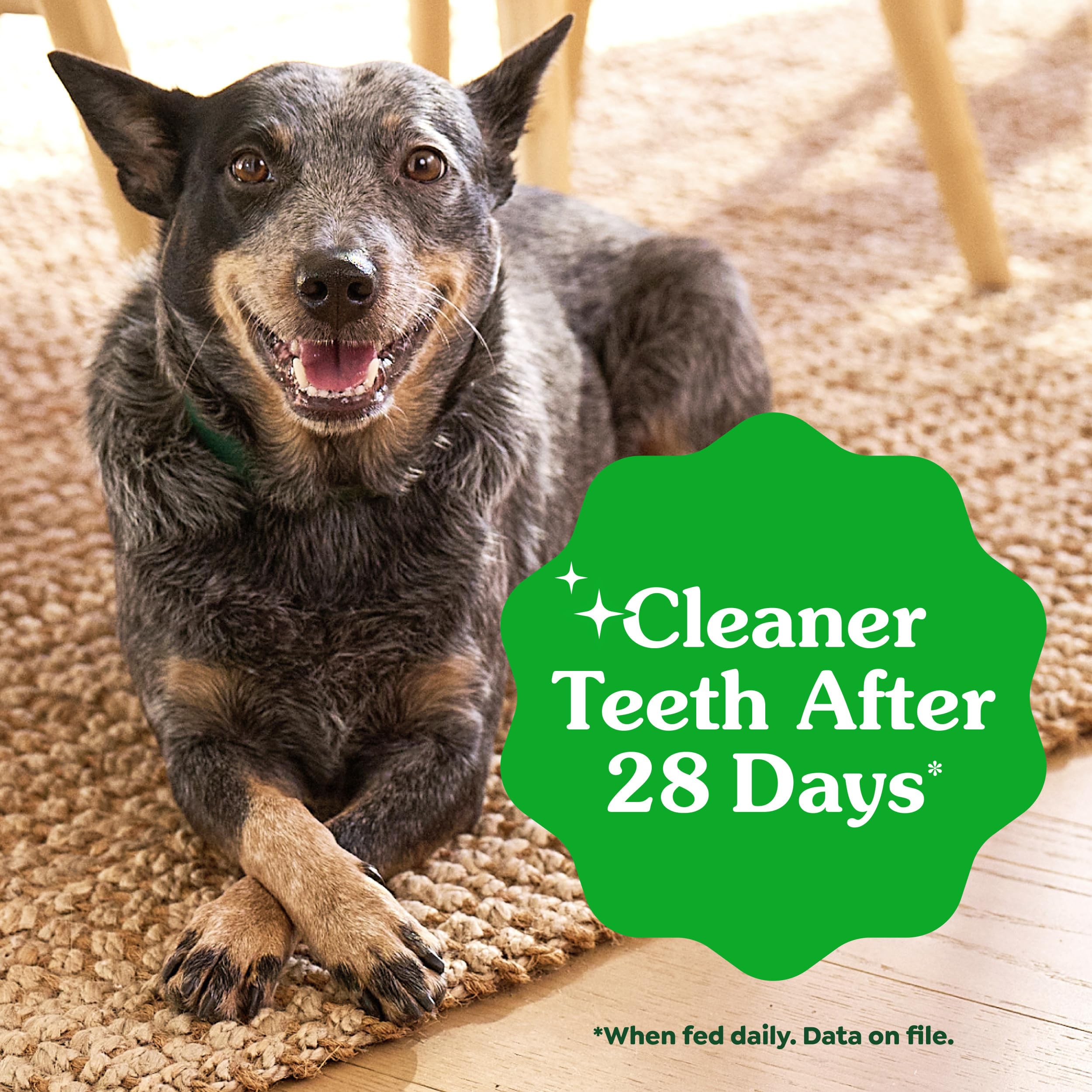 Greenies Large Natural Dental Dog Treats, Original Flavor, 17 Count