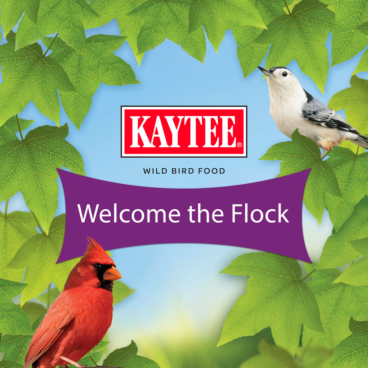 Kaytee Nut & Fruit Wild Bird Seed, 5 lb