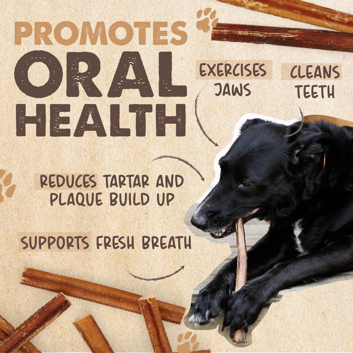 Mighty Paw 12" Bully Sticks for Dogs - Large, Medium and Small Breeds Chew