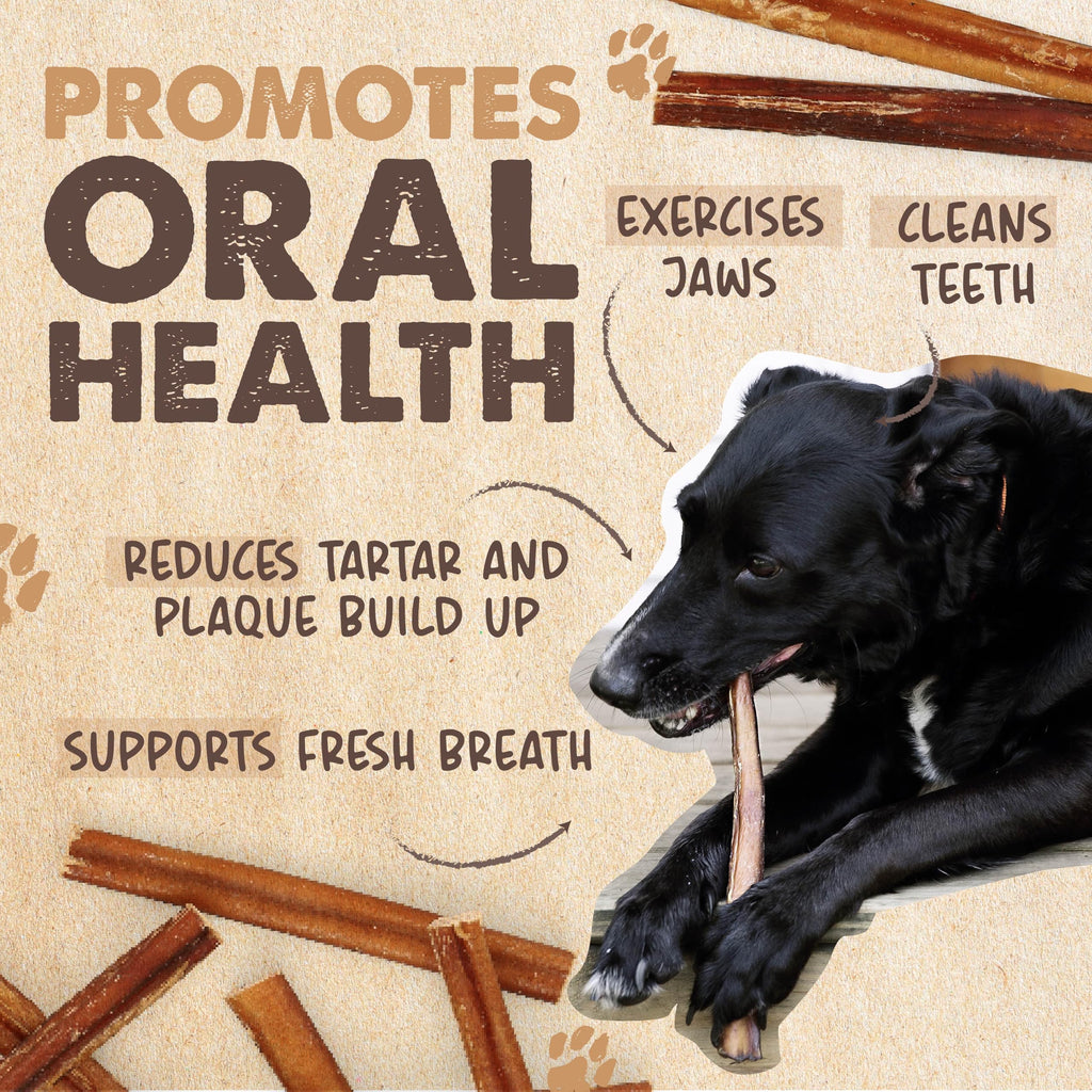 Mighty Paw 12" Bully Sticks for Dogs - Large, Medium and Small Breeds Chew