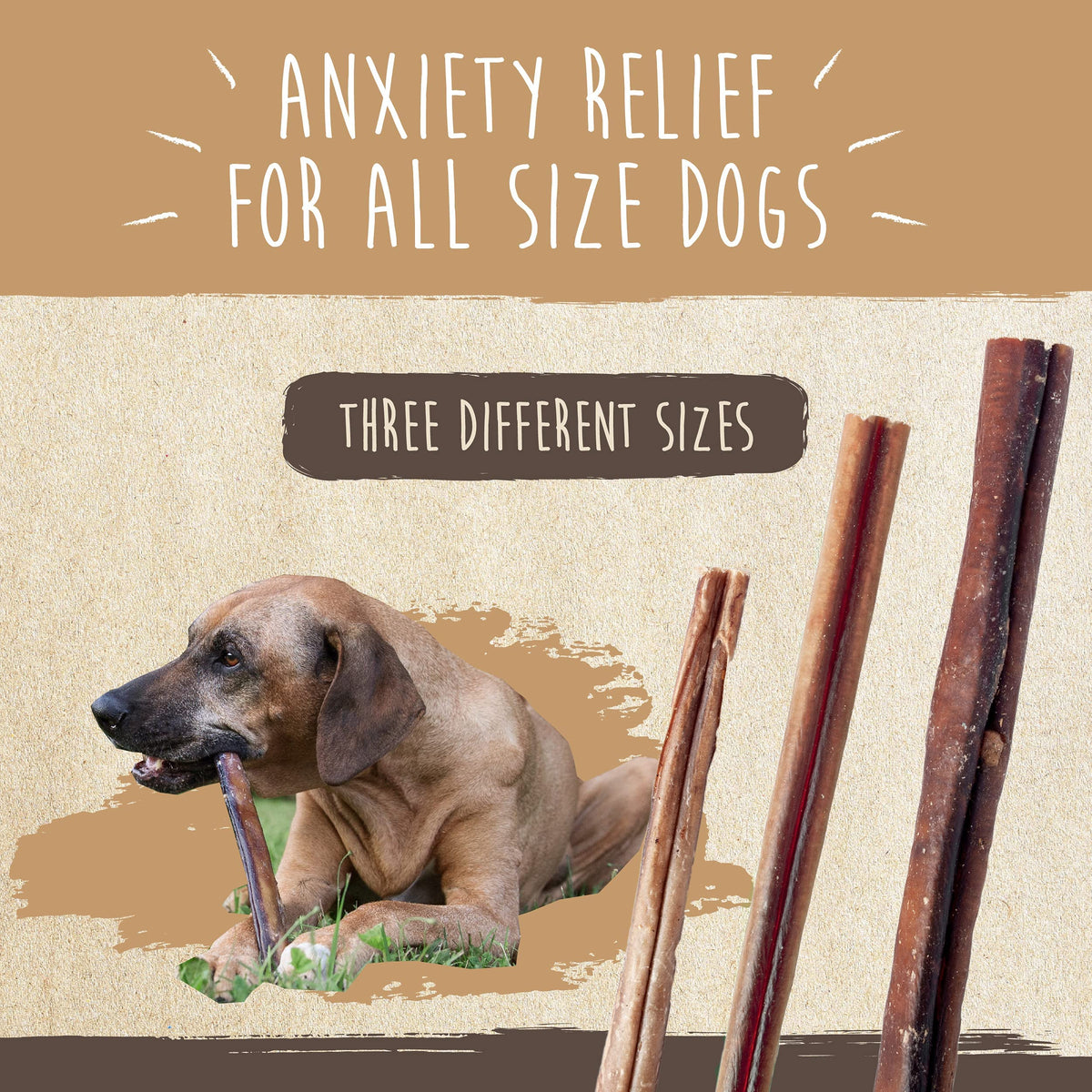 Mighty Paw 12" Bully Sticks for Dogs - Large, Medium and Small Breeds Chew