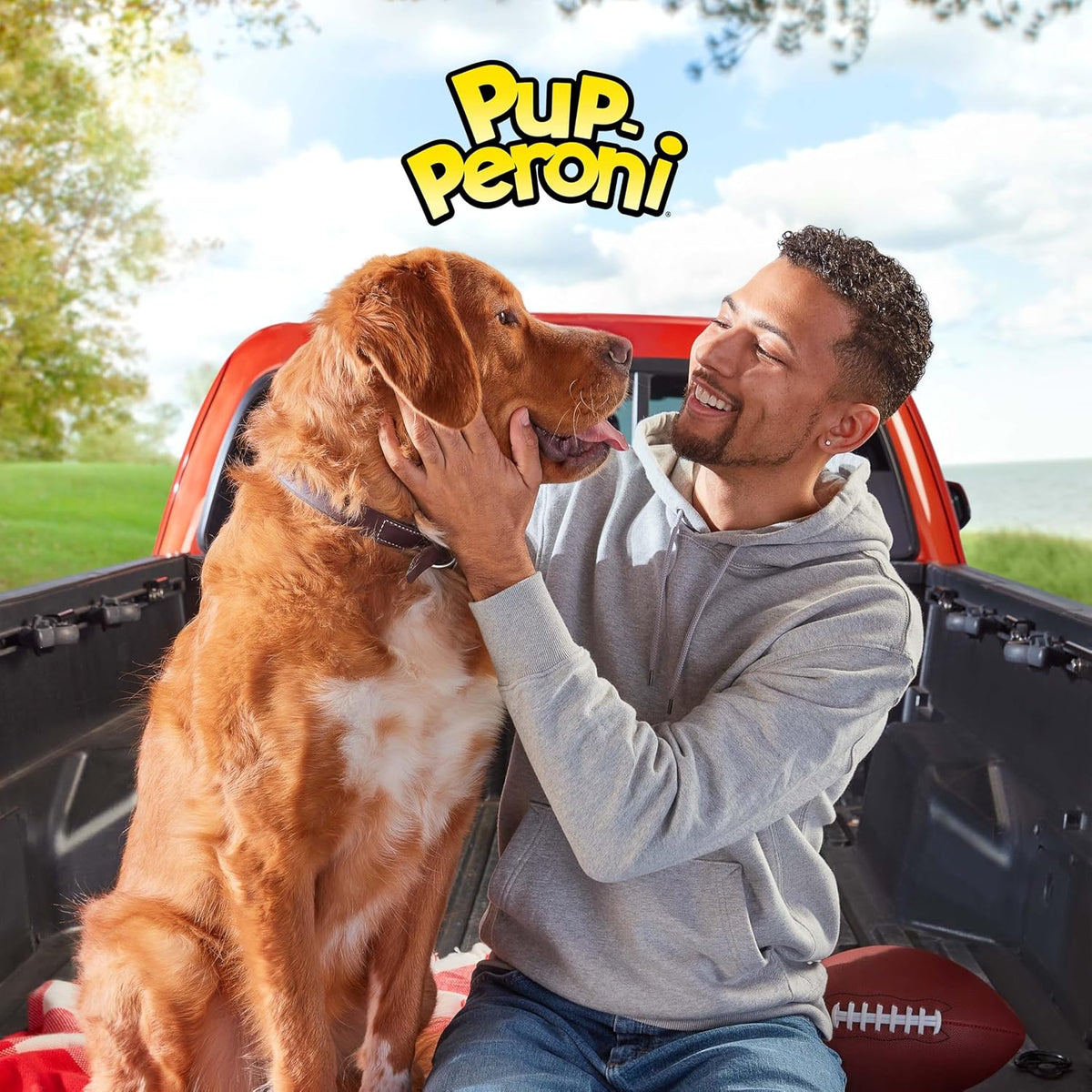 Pup-Peroni Original Beef Recipe Dog Treats, 38 Oz. Bag
